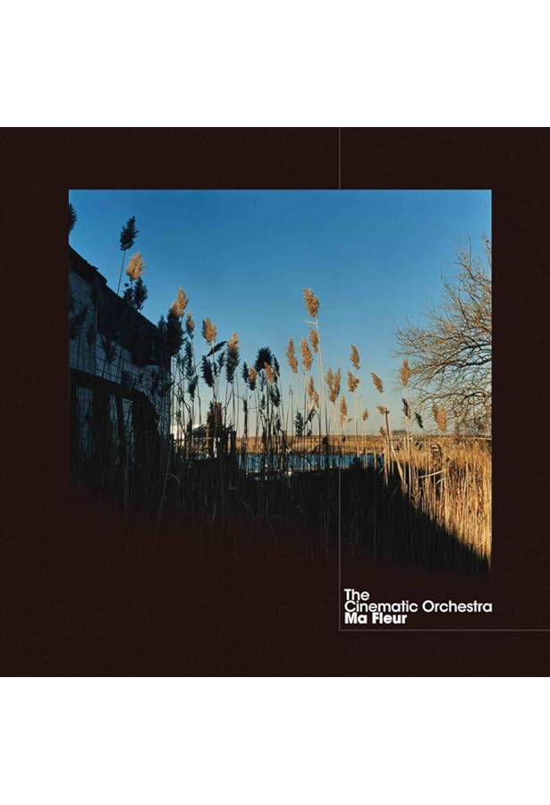 ★The Cinematic Orchestra Ma Fleur 2LPBOX Amazon.com: Ma Fleur: CDs & Vinyl